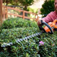 Residential Hedge Trimming Tips for Homeowners