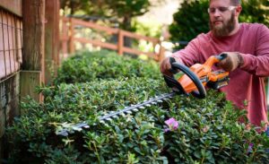 hedge trimming safety tips