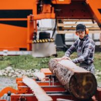 Stump Grinding Near Me: How to Find Reliable Local Experts